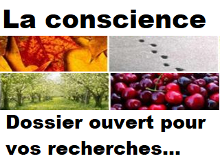 La conscience : Dossier ouvert pour vos recherches...