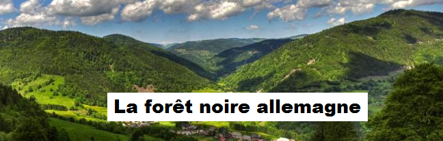 La foret