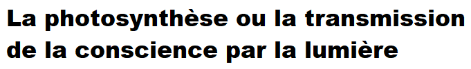La photosynthèse ou la transmission de la conscience par la lumière
