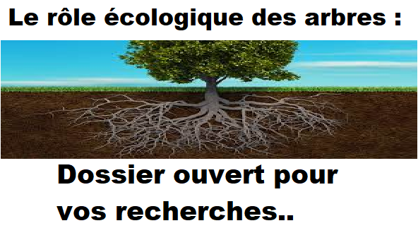 Le role écologique des arbres