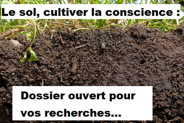 Le sol, cultiver la conscience : Recherches...