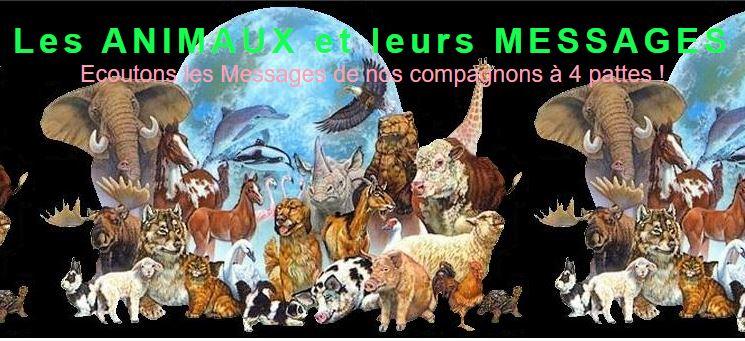 Les animaux