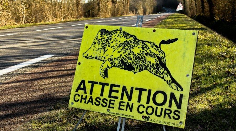 Les chasseurs et les antichasse passent devant le senat 1656345405