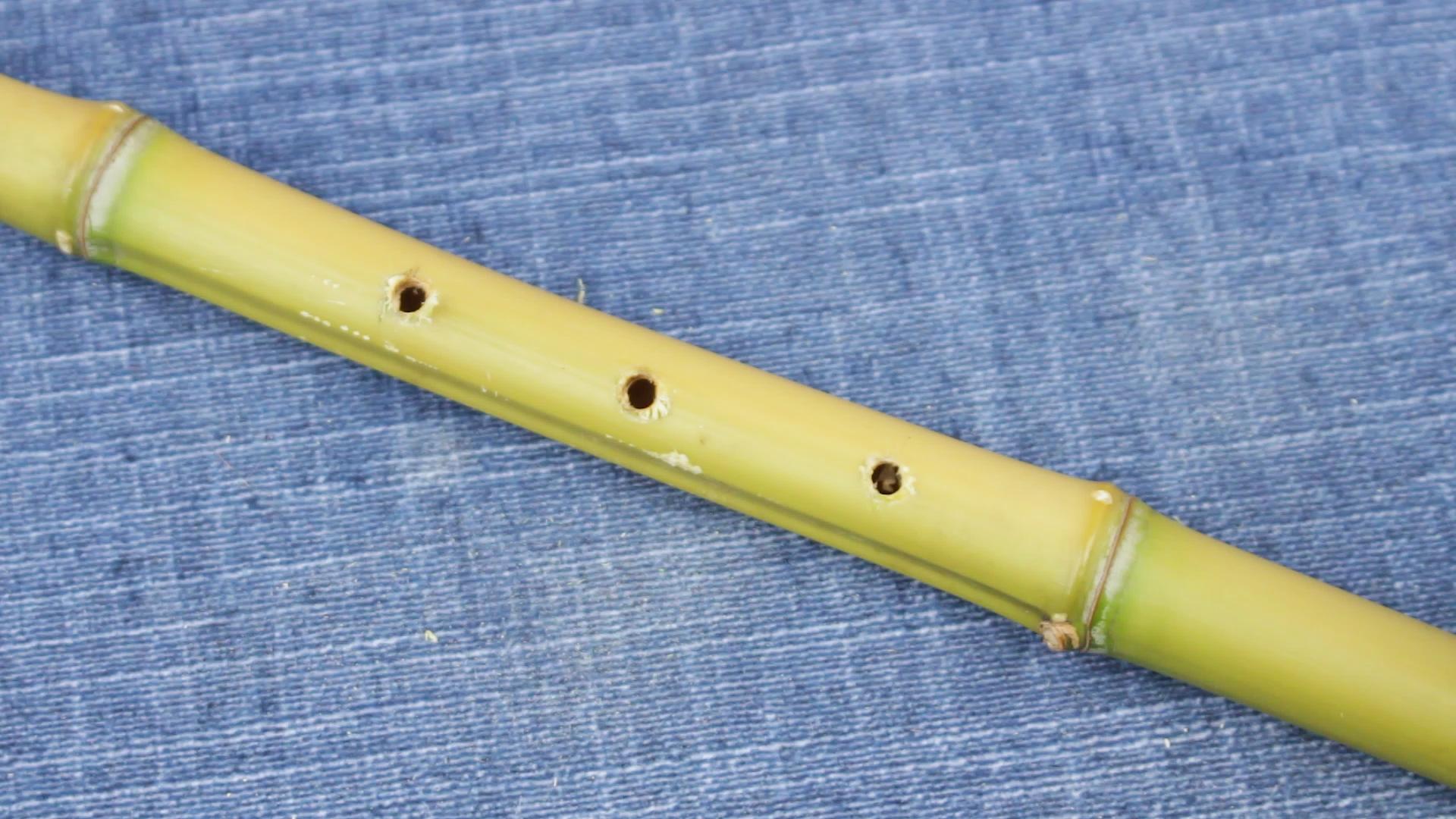 Make a bamboo flute step 17 version 2