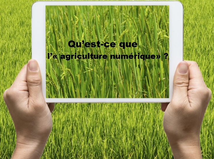 Qu est ce que