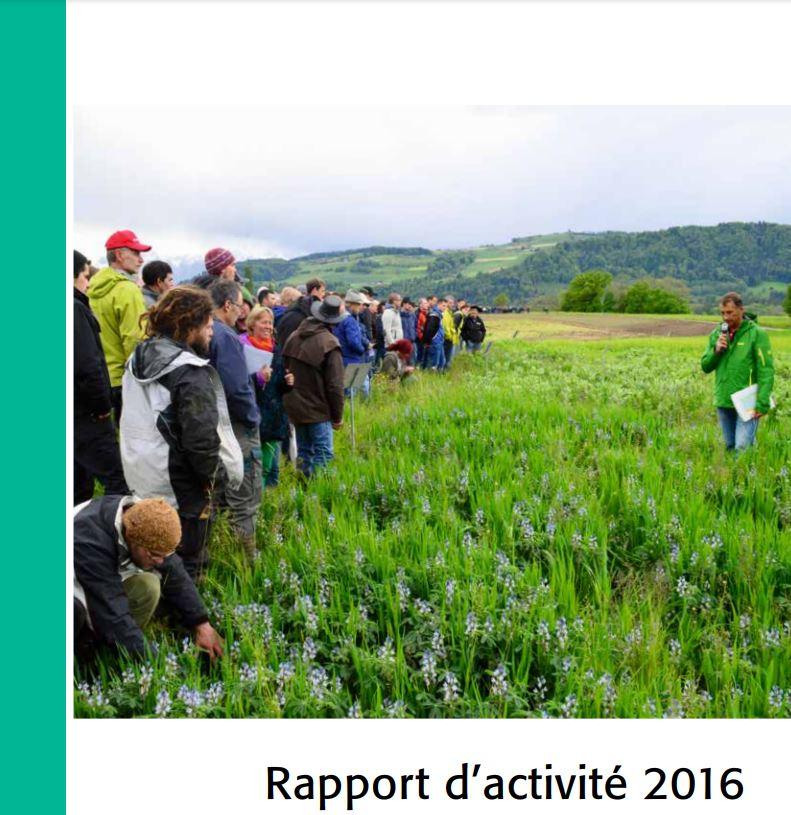 Rapport 2016