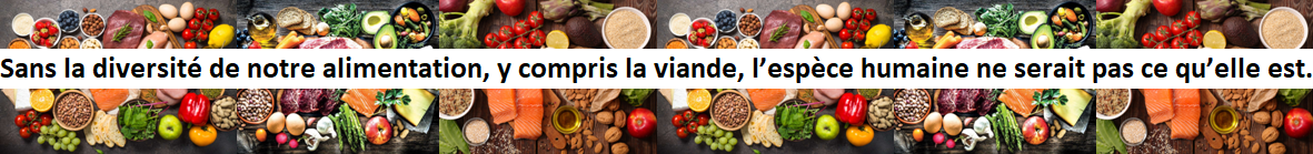 Sans la diversite de notre alimentation y compris la viande l espece humaine ne serait pas ce qu elle est