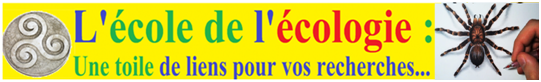 Titre ecole de l ecologie